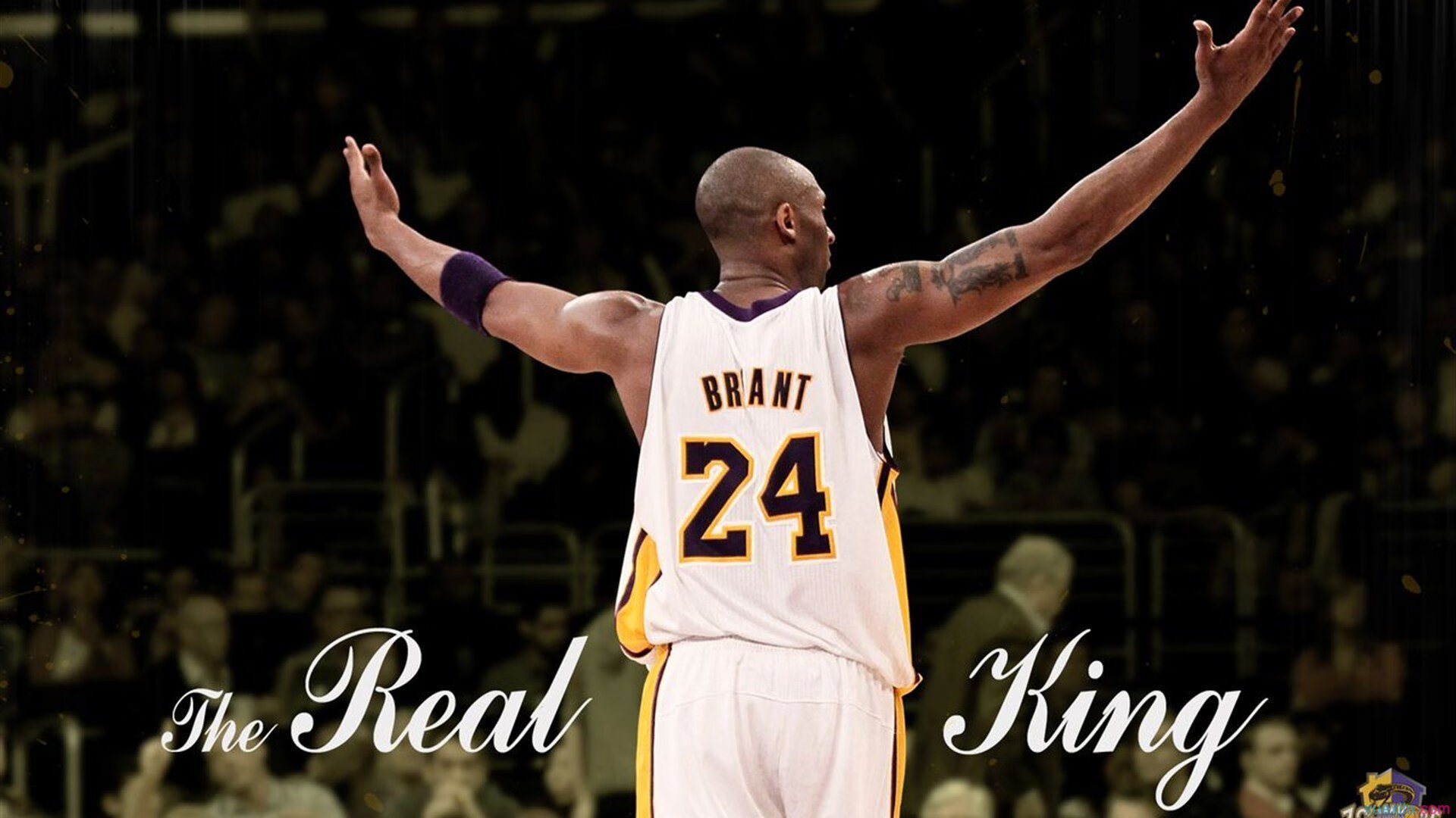 运动精神：篮球让世界更精彩的故事，运动篮球精神名言